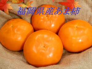 【ふるさと納税】青果市場厳選 「冷蔵」あま柿<2026年1月から発送開始分先行予約>【B-211】