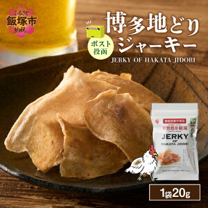 【ふるさと納税】\ポスト投函/博多地どりジャーキー20g【Z3-048】
