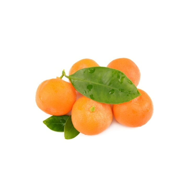 楽天市場 ふるさと納税 有機肥料栽培 もぎたて新鮮 温州みかん 青島 12月発送開始分先行予約 果物 フルーツ みかん 先行予約 減農薬 4キロ 4kg A 747 福岡県飯塚市 楽天市場 ふるさと納税 有機肥料栽培 もぎたて新鮮 温州みかん 青島 12月発送開始分先行予約 果物 フルーツ みかん 先行予約 減農薬 4キロ 4kg A 747 福岡県飯塚市