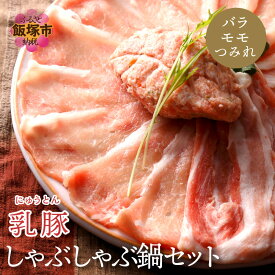 【ふるさと納税】乳豚 しゃぶしゃぶ鍋Bセット(バラ・モモ・つみれ) 豚肉 豚 しゃぶしゃぶ 鍋セット 豚しゃぶ バラ肉 もも肉 送料無料 ふるさと納税 鍋 【A5-405】