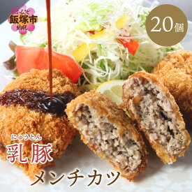 【ふるさと納税】乳豚 メンチカツ20個 豚メンチカツ 揚げ物 惣菜 送料無料 【A7-037】