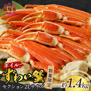 yӂ邳Ɣ[Łzʌ {C킢ɃZNV2LTCY(1.4kg) Jj I  YCKj YCI {C Ⓚ  Mtg yC-143z