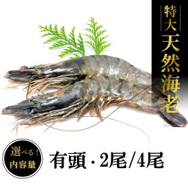 【ふるさと納税】＼内容量が選べる／特大 天然海老（有頭）2尾 4尾 魚介類 エビ えび 有頭海老 エビフライ 海鮮 塩焼き 冷凍 ブラックタイガー 特大 天然 パエリア パスタ エビマヨ 手巻き バーベキュー BBQ