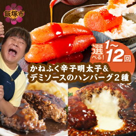 【ふるさと納税】★レビューキャンペーン実施中★＼お届け回数が選べる！／かねふく辛子明太子&デミソースのハンバーグ2種セット 定期便 1回〜 3ヶ月毎 隔月 12ヶ月 明太子 2種類ハンバーグ セット 冷凍 小分け ハンバーグ 簡単 飯塚市【20250303_2レビューCP】