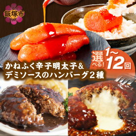 【ふるさと納税】＼お届け回数が選べる！／かねふく辛子明太子&デミソースのハンバーグ2種セット 定期便 1回〜 3ヶ月毎 隔月 12ヶ月 かねふく 明太子 2種類ハンバーグ セット 冷凍 小分け ハンバーグ 簡単 セット 詰め合わせ 飯塚市 福岡 定期 温めるだけ 冷凍