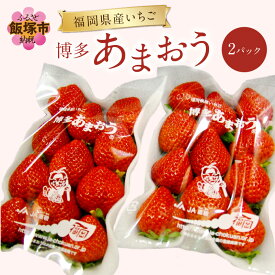 【ふるさと納税】福岡県特産！『あまおう』＜2026年1月から発送開始分先行予約＞【A5-526】