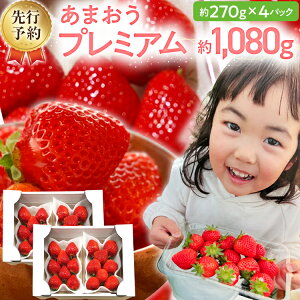 yӂ邳Ɣ[Łzys\/2026Nz܂v~A 270g×4pbNs2026N2ȍ~t _ƒ ܂   t[c 񂹃O   yY B 