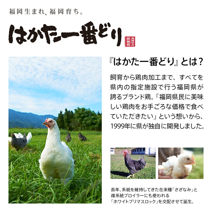 楽天市場 ふるさと納税 はかた一番どり胸肉500g 12パック あらい お取り寄せグルメ お取り寄せ 福岡 お土産 九州 ご当地グルメ 福岡土産 取り寄せ グルメ 鶏むね肉 福岡県 食品 筋トレ ダイエット 鶏肉 小分け とりにく 鶏胸肉 ムネ 福岡県田川市