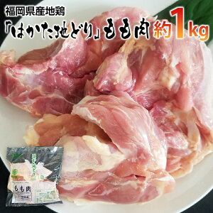 yӂ邳Ɣ[ŁzYn{u͂nǂv(1kg)@ 񂹃O@  yY B nO yY   Hi