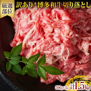 【ふるさと納税】訳あり!博多和牛切り落とし カレー しゃぶしゃぶ ビーフシチュー 国産黒毛和牛肉 小分け 小間切れ 切落し 牛バラ肉 牛肩肉 福岡 お取り寄せグルメ お取り寄せ 福岡 お土