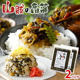 【ふるさと納税】辛子高菜 240g×1パック 2パック 3パック 山賊の高菜 からし高菜 メール便 ポッキリ お米に合う ご飯のお供 おつまみ 国産 無添加 お取り寄せ 福岡 お土産 九州 グルメ 福岡県