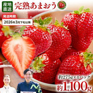 yӂ邳Ɣ[Łz܂ 1100gi275g×4pbNj yst^2026N3{ȍ~\z   t[c  nO yY  O  