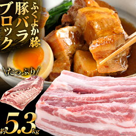 【ふるさと納税】ふくよか豚バラブロック約5.3kg 豚バラブロック 豚バラブロック肉 豚肉 ブタ肉 豚 豚バラ ブロック肉 塊肉 自家製ベーコン チャーシュー しゃぶしゃぶ 角煮 燻製 煮込み料理 ふくよか豚 焼き鳥 サムギョプサル 冷蔵 CP2512KY