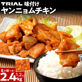 【ふるさと納税】味付け 味付け肉 ヤンニョムチキン 1.2kg 2.4kg 選べる 味付き タレ漬け 甘辛 鶏肉 モモ 冷凍 簡単調理 惣菜 おかず お取り寄せ グルメ 福岡 CP2512TS