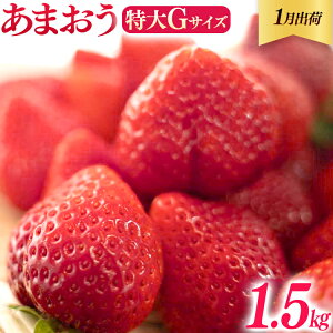 yӂ邳Ɣ[ŁzʂIׂ Y ܂ 500g`1.5kgi2`6pbNj 12 1    t[c ʕ  嗱GTCY Of _ƒ 嗱 s   B O