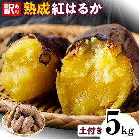 【ふるさと納税】【レビューキャンペーン】先行予約 高評価★4.57 訳あり 紅はるか 熟成 紅はるか 5kg さつまいも 4000円 芋 サツマイモ 土付き サイズ色々 サイズ不揃い 九州産 焼き芋 やきいも 甘い デザート スイートポテト 生芋 おやつ デザート 野菜 いも CP2506HM