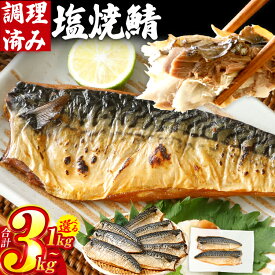 【ふるさと納税】さば 鯖 塩サバ 塩焼鯖 約1kg~3kg 選べる容量 大ぶり 魚 海産物 魚介 海鮮 惣菜 和食 レンチン 調理済 調理済み 温めるだけ 脂のり 晩御飯 おかず ジューシー 冷凍 お弁当 レンジ調理 サバ 自社製造 CP2511HM