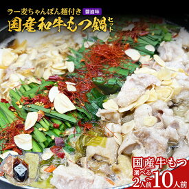 【ふるさと納税】もつ鍋 容量が選べる【化粧箱入り】素材にこだわりました 厳選 博多牛もつ鍋セット 2人前～10人前 醤油 醤油味 国産 牛小腸 もつ モツ 鍋 お土産 美味しい 福岡県 福岡 九州 グルメ お取り寄せ