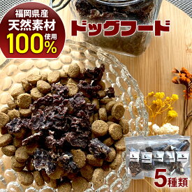 【ふるさと納税】田川市産鹿肉ドッグフードセット（ミンチ、ダイス、ホルモンMIX、アバラ骨、モモ骨) 天然素材100％ 添加物不使用 保存料不使用 着色料不使用 送料無料 ジビエ あばら骨 もも骨 高タンパク 低カロリー 犬用 ペット用品