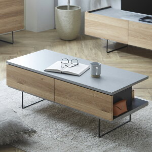 yӂ邳Ɣ[Łz_u105CT i`/uE IׂJ[ 105cm s45cm 38cm Z^[e[u e[u  o [ i rO CeA Vv Ƌ { 