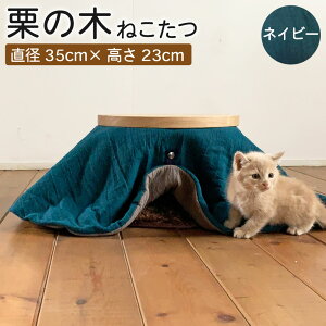 yӂ邳Ɣ[ŁzI̖ ˂ lCr[ a35cm 23cm  ybgp Lp e[u  lR L ˂ F{I100%  IV k ؐ CeA Ƌ F{Y Y 