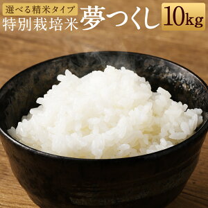 yӂ邳Ɣ[Łz ʍ͔| 10kg /5/7/ Iׂ鐸ă^Cv ߘa6NY   t Y BY  yVX[p[SALE 9J