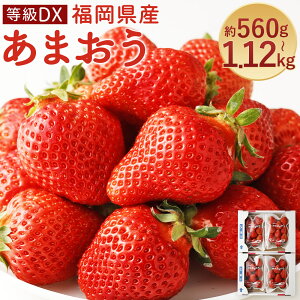 yӂ邳Ɣ[Łz܂ DX 560g(2pbN)/1.12kg(4pbN) Iׂe 1pbN280g st O\   t[c ʕ Y ① y2026N2{`3{ɏ