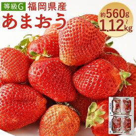 【ふるさと納税】あまおう 等級G 約560g(2パック)/約1.12kg(4パック) 選べる内容量 1パック約280g 先行受付 事前予約 いちご 苺 フルーツ 果物 福岡県産 冷蔵 送料無料【2026年2月上旬～3月下旬に順次発送予定】
