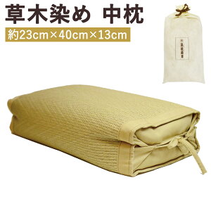 yӂ邳Ɣ[Łzؐ  1 23cm×40cm×13cm   Q I{ \ Вܕt 