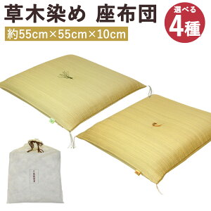 yӂ邳Ɣ[Łzؐ zc 1 55cm×55cm× 10cm 4ނIׂ1 `a/I{/ʔK̔/ 1kg  ԂƂ Вܕt 