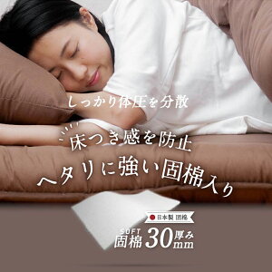 yӂ邳Ɣ[Łz{ h_jRە~zc VO AC{[/x[W/uE/O[/u[/sN IׂJ[ 100×200cm 3.1kg ~zc zc Q 󒍐Y {  yVX