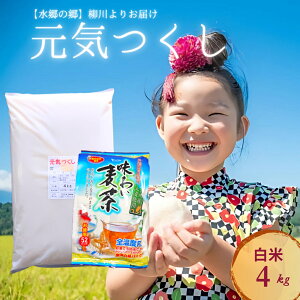 yӂ邳Ɣ[Łẑ C 4kg  52pbN Zbg   ߘa6NY  BY  pbN   s  yVX[p[SALE 9J