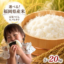 楽天市場】福岡県産米 福岡県産めし丸ひのひかりの通販