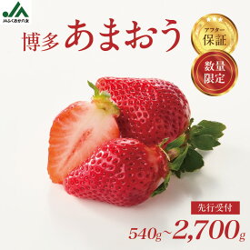 【ふるさと納税】【アフター保証】福岡県八女市産 博多あまおう 期間限定 数量限定 大粒苺 甘くてジューシーな高級いちご 産地直送 冬ギフト 【選べる内容量】約540g〜約2700g｜JAふくおか八女 あまおう いちご 苺 イチゴ 数量・期間限定 産地直送 グランデ 福岡県 八女市