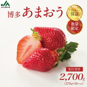 yӂ邳Ɣ[ŁzyAt^[ۏ؁zsY ܂ Ԍ ʌ 嗱 ÂăW[V[ȍ Yn ~Mtg yIׂeʁz540g`2700gbJAӂ