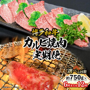 yӂ邳Ɣ[ŁzyIׂցz a Jrēioj  iS6ES12j   ē   a o[xL[ BBQ ē  s 072-T110