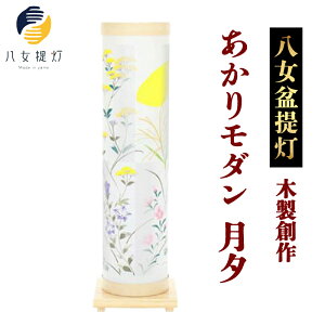 yӂ邳Ɣ[Łzy~񓔁z@ؐn@胂_[ij ~ ` w`IH|i ElZ 傤