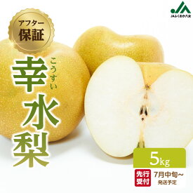 【ふるさと納税】【先行受付】幸水梨(5kg)【JAふくおか八女】|2026年7月下旬～発送予定 梨 なし 幸水 幸水梨 フルーツ 果物 くだもの みずみずしい 爽やか 甘い シャリシャリ食感 産地直送 デザート 旬 甘い
