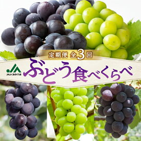 【ふるさと納税】【先行受付】福岡ぶどう定期便【全3回】【JAふくおか】ぶどう食べ比べ便 各1.4kg（種なし巨峰、ピオーネ、シャインマスカット） フルーツ 果物 定期便 食べ比べセット 期間限定