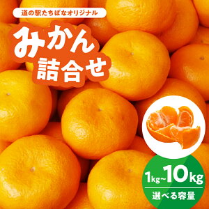 yӂ邳Ɣ[ŁzyIׂeʁzY݂l 1kgE5kgE10kgb̉w΂ȃIWib10{Jnb{̑/݂Yn