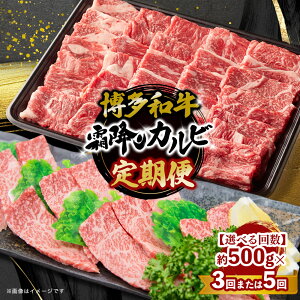 yӂ邳Ɣ[ŁzyIׂցza ~Jr 500gyS3ES5z   a Jr o[xL[ BBQ ē