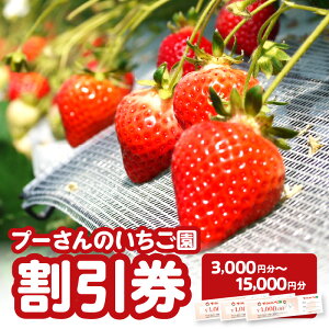 yӂ邳Ɣ[Łzv[̂@i3,000~`15,000~j y^[pbNz C`S ܂ ݂̂ gق ق̂  Cx[ ܂ ڂ 