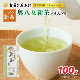 【ふるさと納税】古賀製茶本舗 奥八女新茶 さえみどり煎茶100g【2026年5月以降発送】 【メール便】 お茶 緑茶 新茶 八女茶 ポスト投函 簡易包装 訳あり 福岡県 八女市