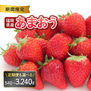 yӂ邳Ɣ[Łz撅200l r[Ly[JÒI Y܂y2026N2`3JnzyAt^[ۏ؁zyIׂeʁzi 270g×2pbNE270g×4pbNES3