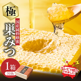 【ふるさと納税】【TVで紹介！】はちみつ 国産純粋蜂蜜 極巣みつ 310g 非加熱 はちみつ ハチミツ 生はちみつ ローハニー オススメ 贈答 贈り物 プレゼント 八女市