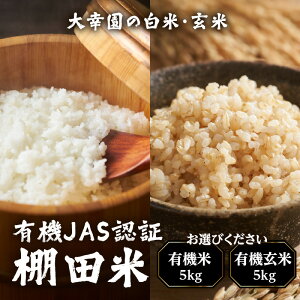 yӂ邳Ɣ[ŁzyIׂށzK̕ L@JAS F Ic 5kg iL@āEL@āj     L@ L@ Â L@͔| _ ѕ  s