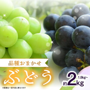 yӂ邳Ɣ[Łzi킨܂IԂǂi1.8`2kgjy2026N8{Jnz Ԃǂ VC}XJbg  t[c ܂ {  s