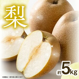 yӂ邳Ɣ[Łzystzi5kgjb2026N9{`\ Ȃ  { t[c ʕ   s