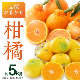 【ふるさと納税】品種おまかせ！柑橘（5kg） ミカン みかん デコポン 柑橘 おまかせ 5キロ 旬 フルーツ 果物 福岡県 八女市