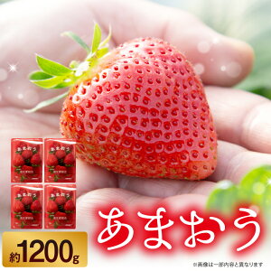 yӂ邳Ɣ[Łz䕁i܂j4pbNi300`350gj   C`S { ܂ uh   s